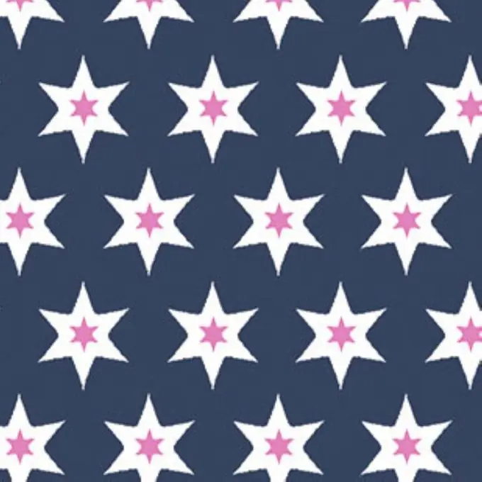 Letzte Chance Jerseystoff Blau Sterne