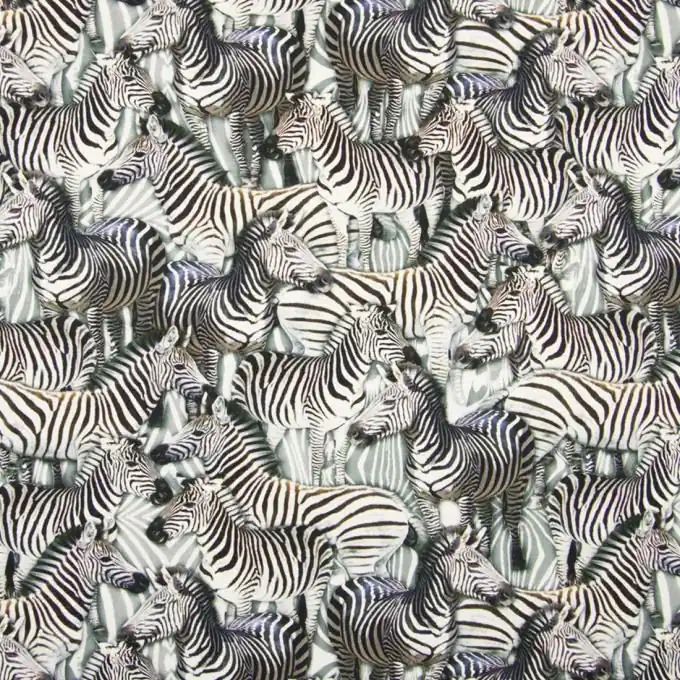 Top-Preis Baumwolljersey Zebra