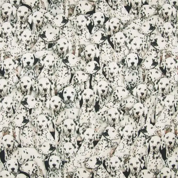 Baumwolljersey Dalmatiner Neu Im Sortiment
