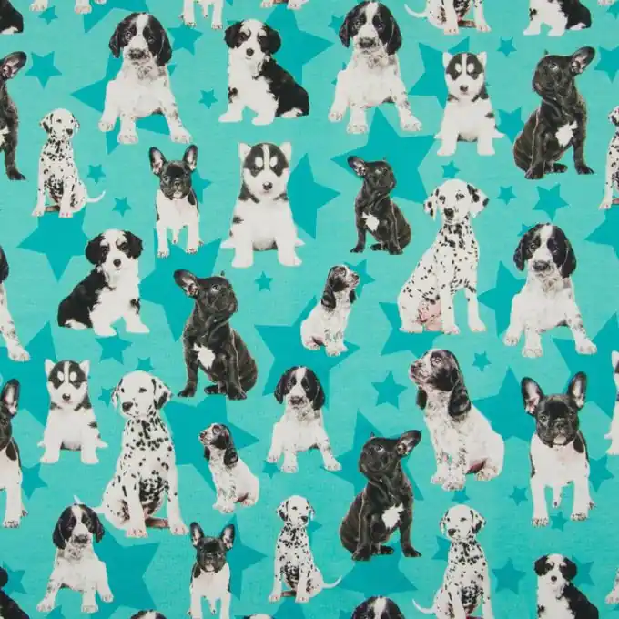 Baumwolljersey Hundemotiv Blau Nur Für Kurze Zeit