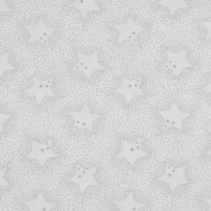Neuheit Baumwolljersey Bio Baumwolle Grau Sterne