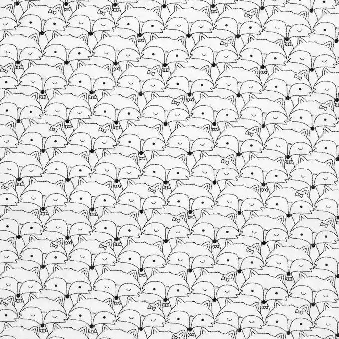 Markenware Popeline Bio Baumwolle Füchse