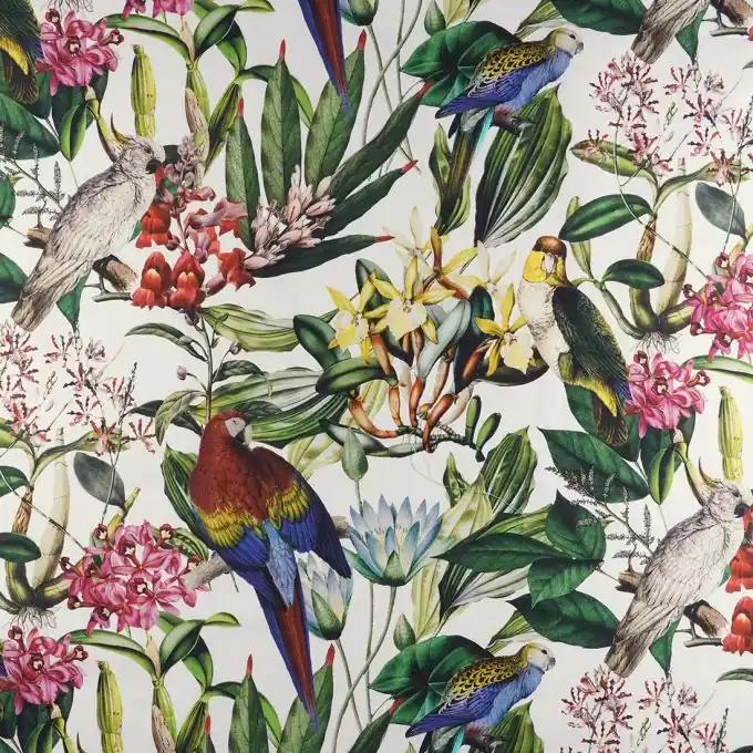 Köperstoff Baumwolle Papageien/Blumen Preiswert