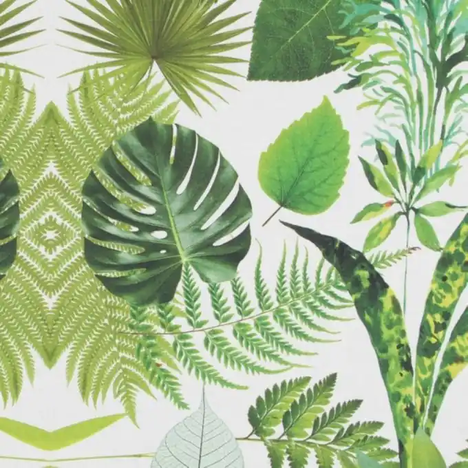 Dicker Baumwollstoff Botanique Grün Finale Aktion