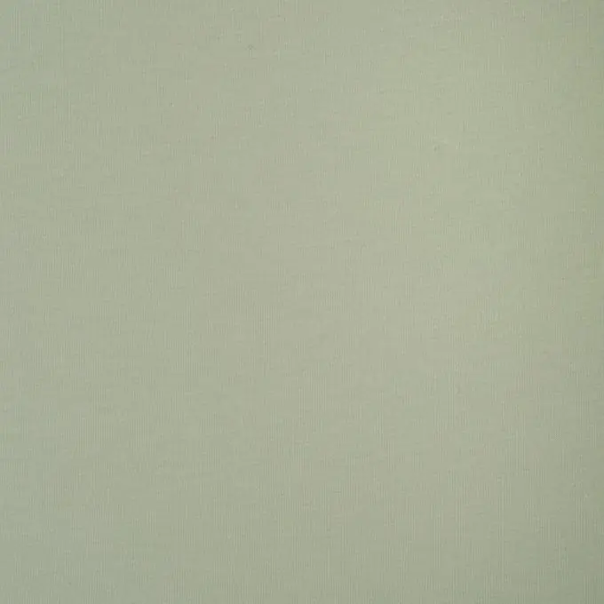 Bestseller Jersey Baumwollstoff Jerry Uni Pastellgrün 140cm