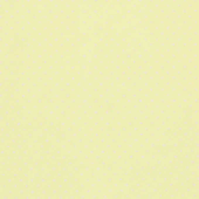 Kostenloser Versand Baumwoll-Popeline Stoff Punkte 140cm Breite