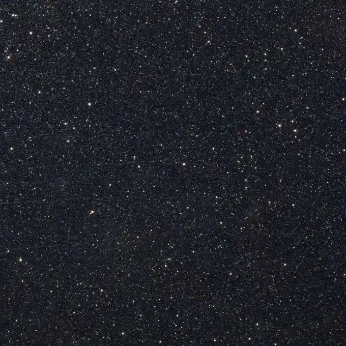 Thermoklebende Verzierung mit Pailletten, schwarz Bestpreis