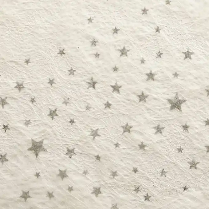 Filz Sterne Expressversand