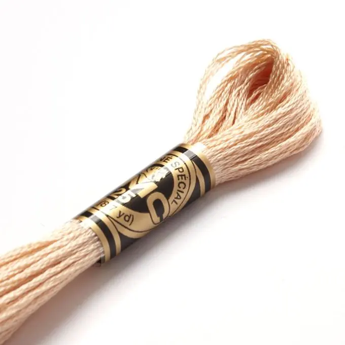Geld-Zurück-Garantie Mouliné-Faden für Stickereien – Brauntöne – COL 945