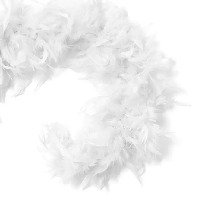 Boa blanc Federboa Weiß Karnevalszubehör Sale