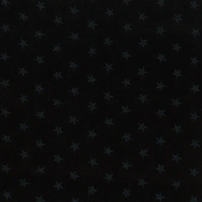 Finale Aktion Jersey-Stoff mit Glitzersternen 155cm Laize