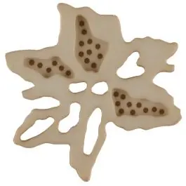 außergewöhnlicher Blumenknopf mit 2 Löchern – Größe: 34mm – Farbe: beige – Art.Nr. 377714 Geld-Zurück-Garantie