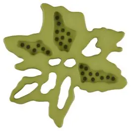 außergewöhnlicher Blumenknopf mit 2 Löchern – Größe: 23mm – Farbe: grün – Art.Nr. 287705 Markenware