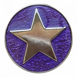 Markenware emailierter Sternenknöpf Vollmetall mit Öse – Größe: 20mm – Farbe: lila – Art.Nr. 341356