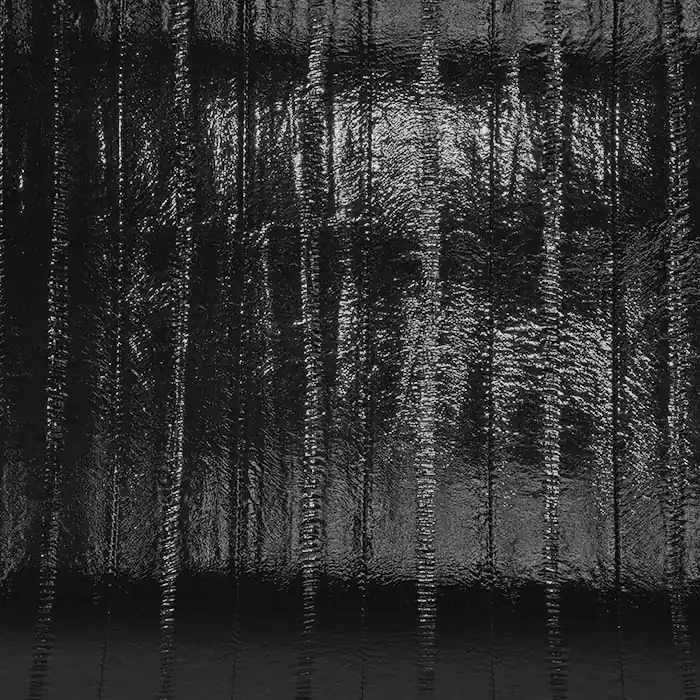 Kunstleder Lutton, Lack, 29493-07, schwarz Sichere Zahlung