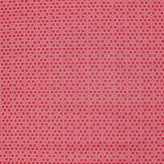 Jetzt Zugreifen Baumwolle, Popeline, geometrisch, 28593-02, rot