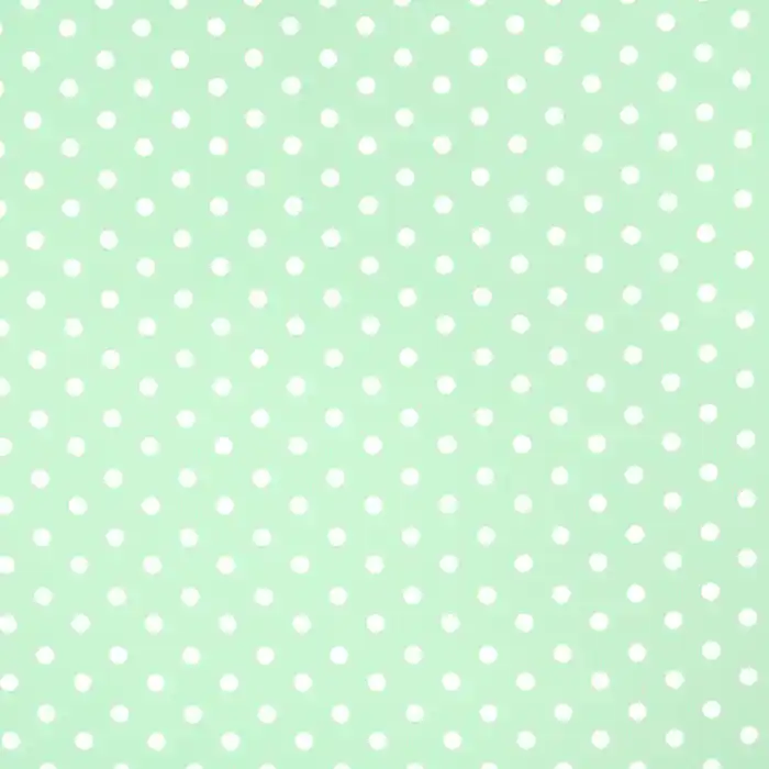 Preiswert Baumwolle, Popeline, Punkte, 17952-011, mintgrün