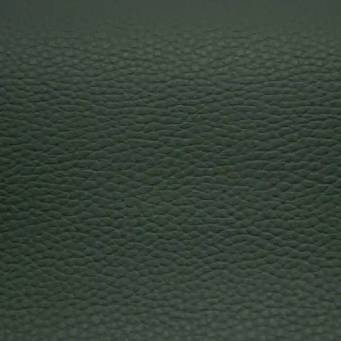 Kunstleder Samba, 22470-440, grün Gratis Versand