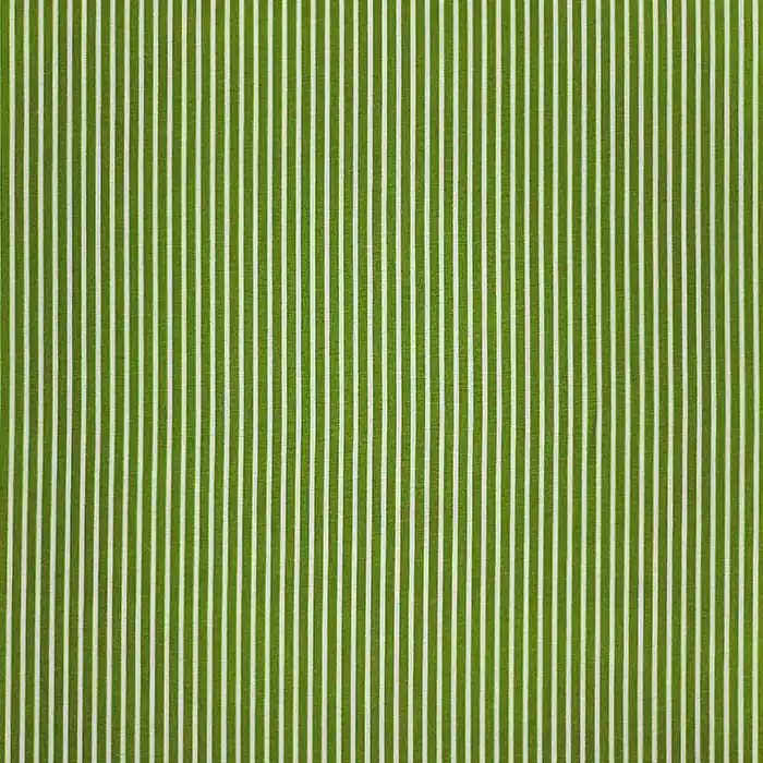 Premium Baumwolle, Popeline, Streifen, 23367-017, grün