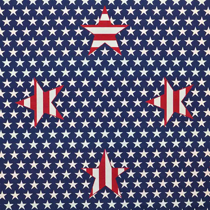 Dekostoff, Jacquard, Amerika, 16847-39 Sofort Bestellen