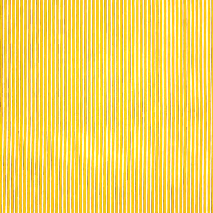 Hochwertig Baumwolle, Popeline, Streifen, 23367-016, gelb