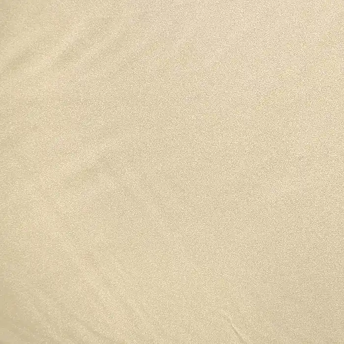 Polyamid, Elastan, glänzend, 13513-80, hautfarben Aktuell