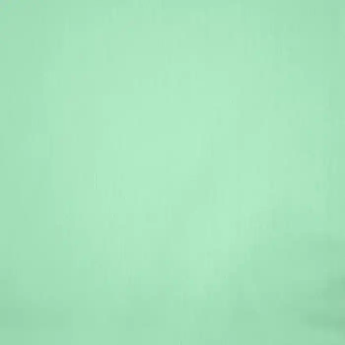 Sale Baumwolle, Popeline, Elastan, 18998-96, mintgrün