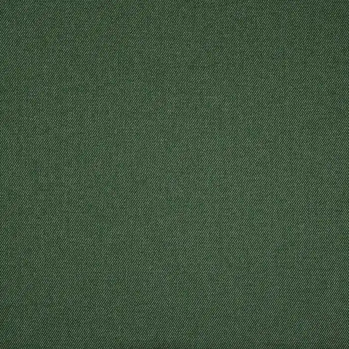 Baumwolle, Köper, 245 g, 13027-09, grün Neuheit