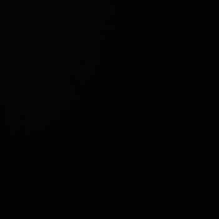 Gratis Versand Filz, 1,5mm, Polyester, 13471-17, schwarz