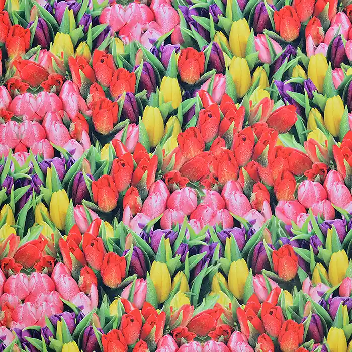 Dekostoff, Digitaldruck, floral, 18429-01 Neue Kollektion