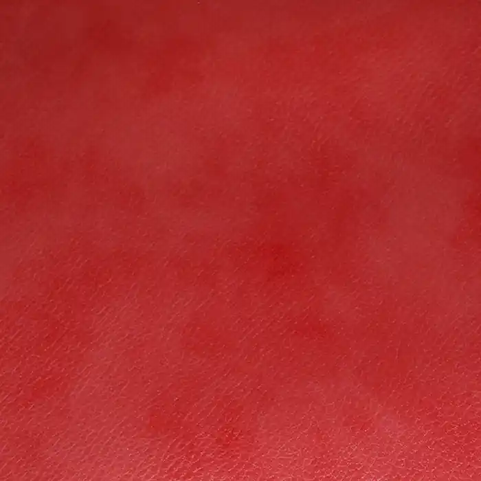 Heute Kaufen Kunstleder Arctic, 29568-301, rot