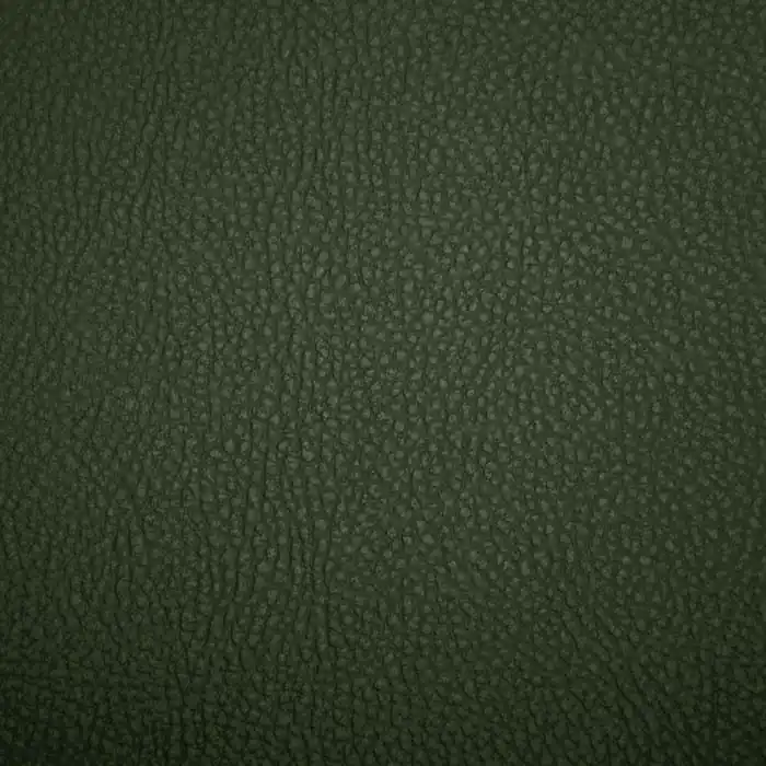 Jetzt Zugreifen Kunstleder Sin Visage, 19749-425, grün