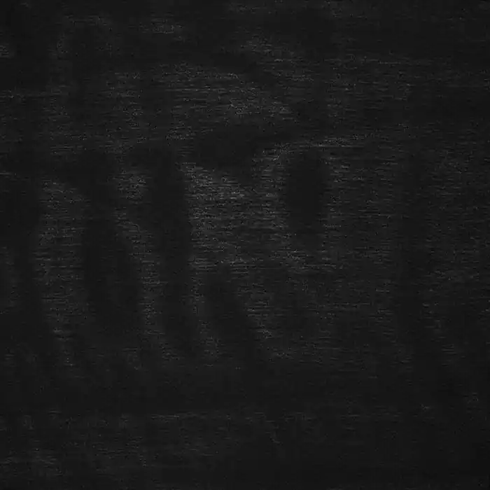 Echt Gewebe, Rajon, Polyester, 27339-50, schwarz