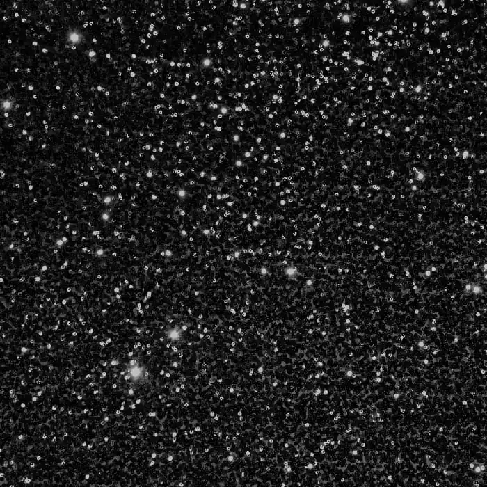 Mega-Angebot Pailletten auf Netz, 26919-1001, schwarz