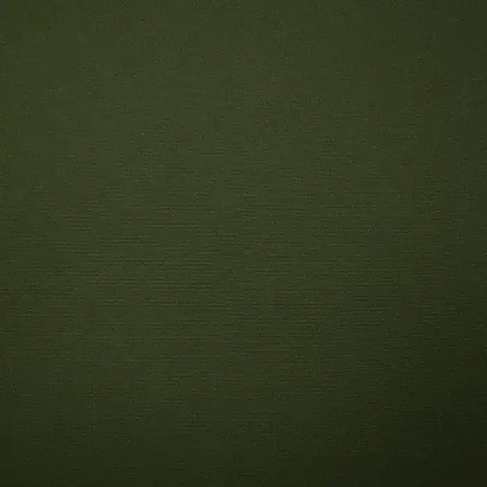 Softshell, Velours, 17072-029, grün Abverkauf