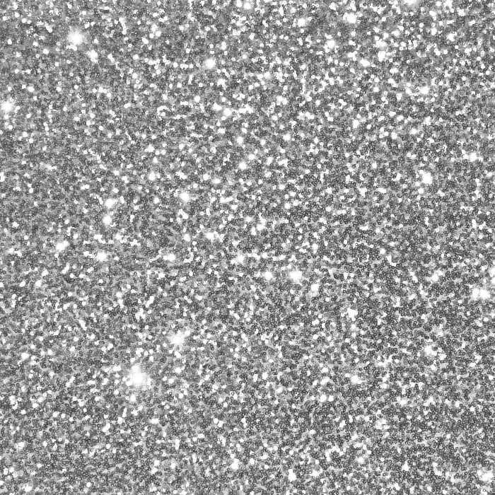 Heute Kaufen Pailletten auf Netz, 26919-555, silbern