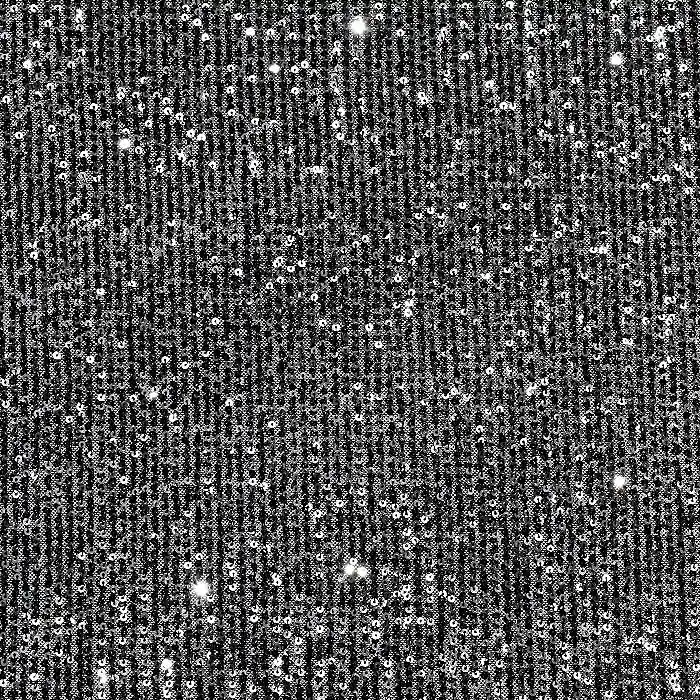 Pailletten auf Netz, 26650-061, schwarz-silbern Letzte Chance