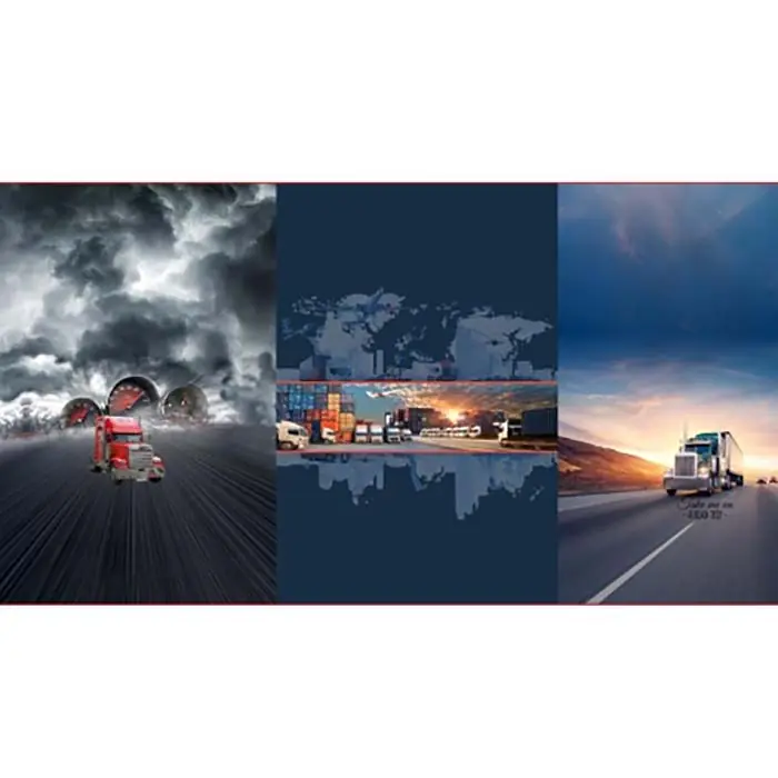 Top-Preis Sweatshirtstoff, digital, jugendlich, 25536