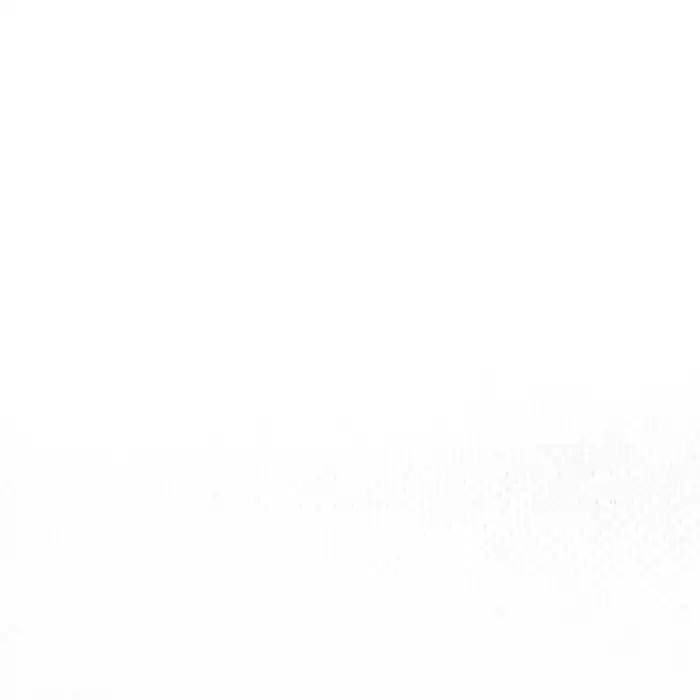 Sonderangebot Netz, elastisch, Polyamid, 21212-1, weiß