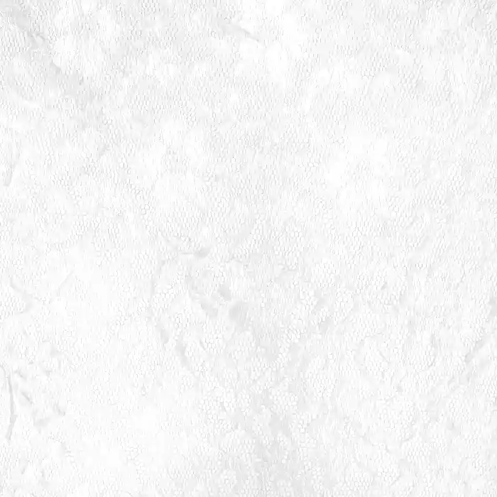 Nur Für Kurze Zeit Spitze, elastisch, floral, 22942-050, weiß