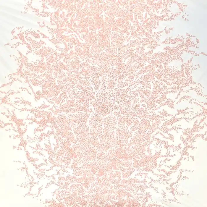 Spitze, exklusiv, 18380, aprikose Mengenrabatt