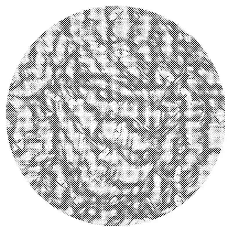 Punktmalerei – Abstrakte Katze Hochwertig