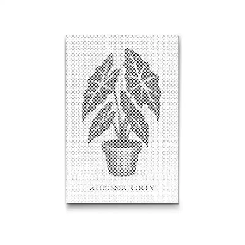 Angebot Punktmalerei – Alokasie Polly