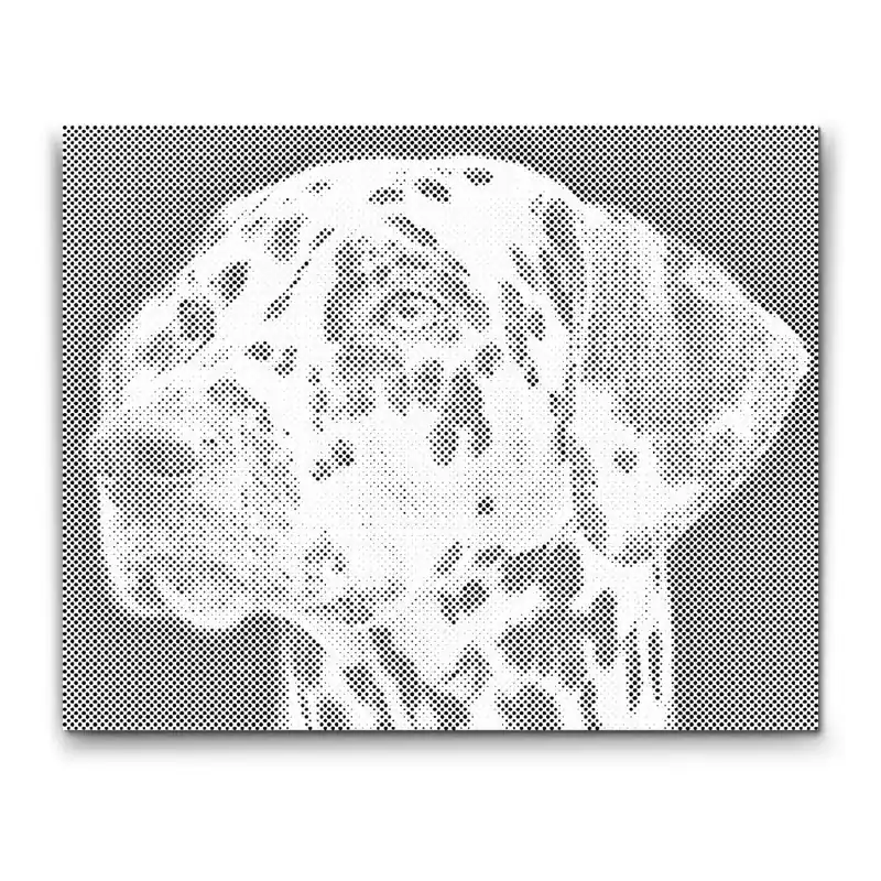 Punktmalerei – Dalmatiner Direktkauf