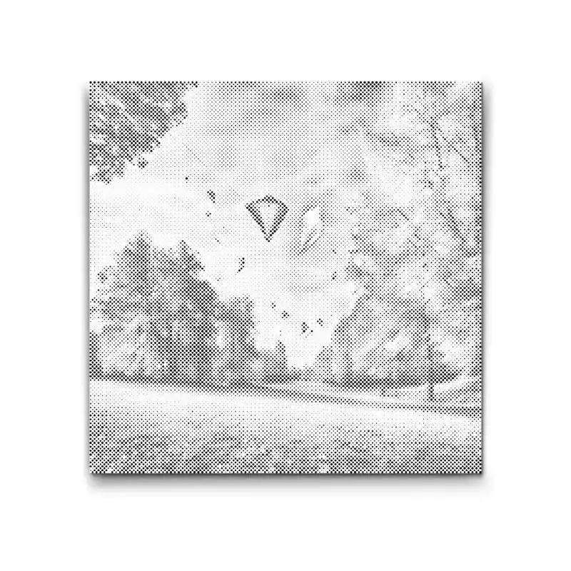 Rabatt Punktmalerei – Drachensteigen