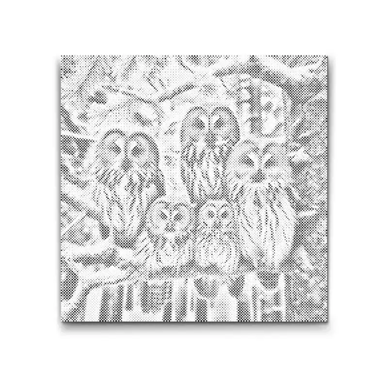 Direkt Vom Hersteller Punktmalerei – Eulenfamilie im Winter