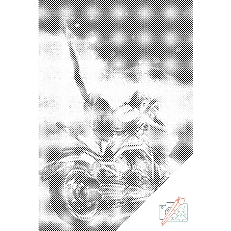 Heißes Angebot Punktmalerei – Frau auf Motorrad