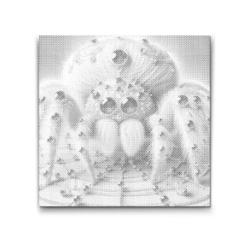 Punktmalerei – Geniale Spinne Hochwertig