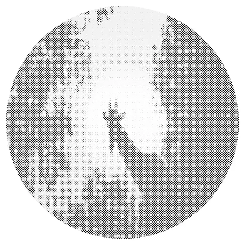 Finale Aktion Punktmalerei – Giraffe im Mondlicht